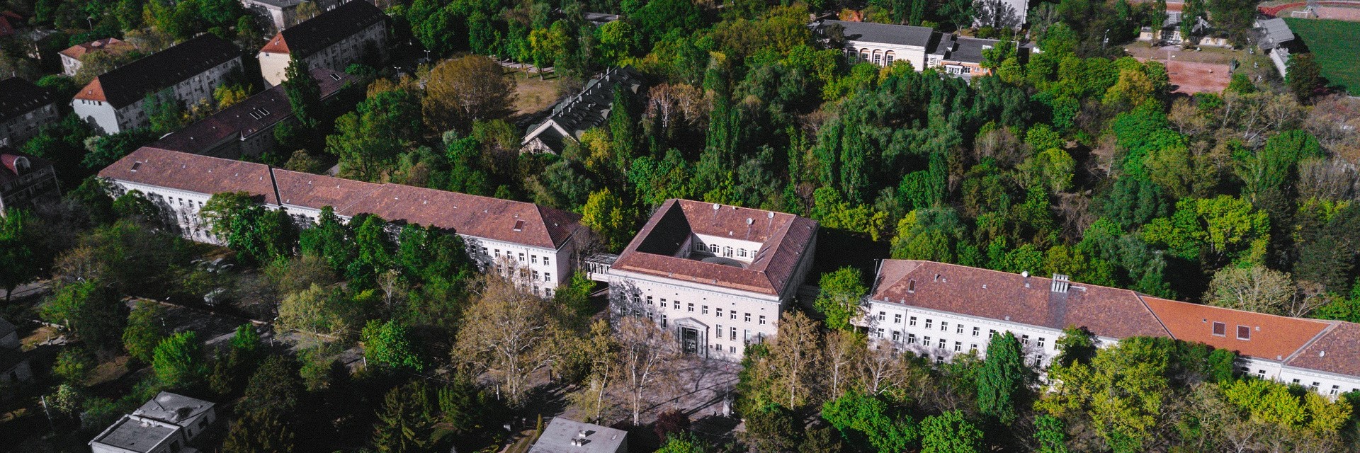 布达佩斯经济大学国际管理与商务学院（FIMB）
